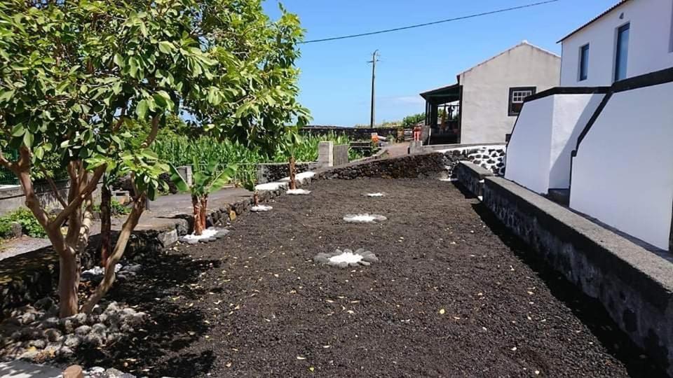 Azores Black Mountain House, Estudio E T2 Ilha Do Pico São Roque do Pico Esterno foto